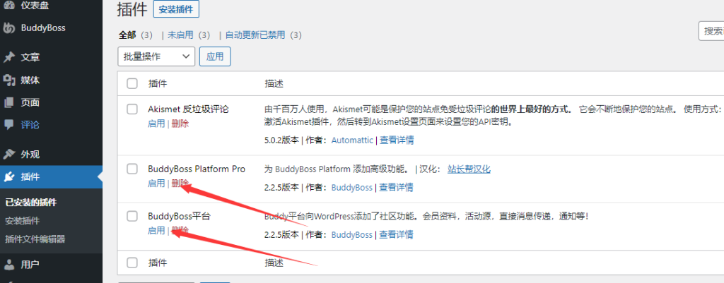 图片[3]-WordPress社区平台插件–BuddyBoss Platform Pro v2.13.1 破解版下载